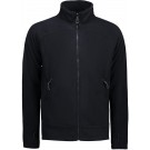 color:navy